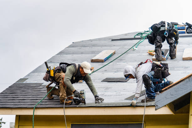 Professional Roof Repair technician working in Arcola, IN